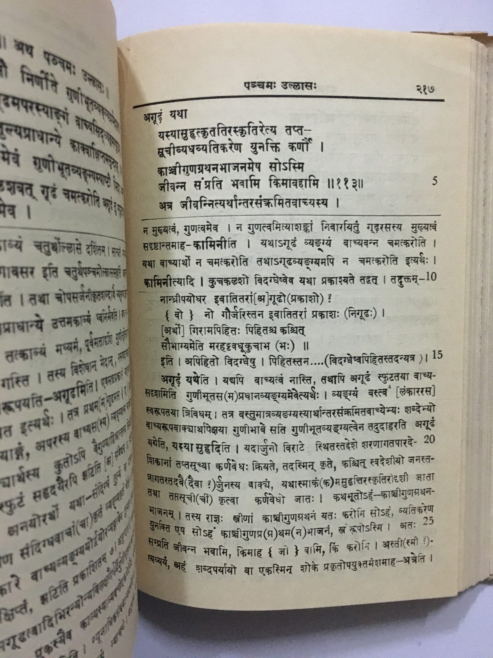 Nandi, T. S: Mammata's Kavyaprakasa (I-VI) With Sabadipika Of Gunaratnagani. Text In Sanskrit. - Image 6