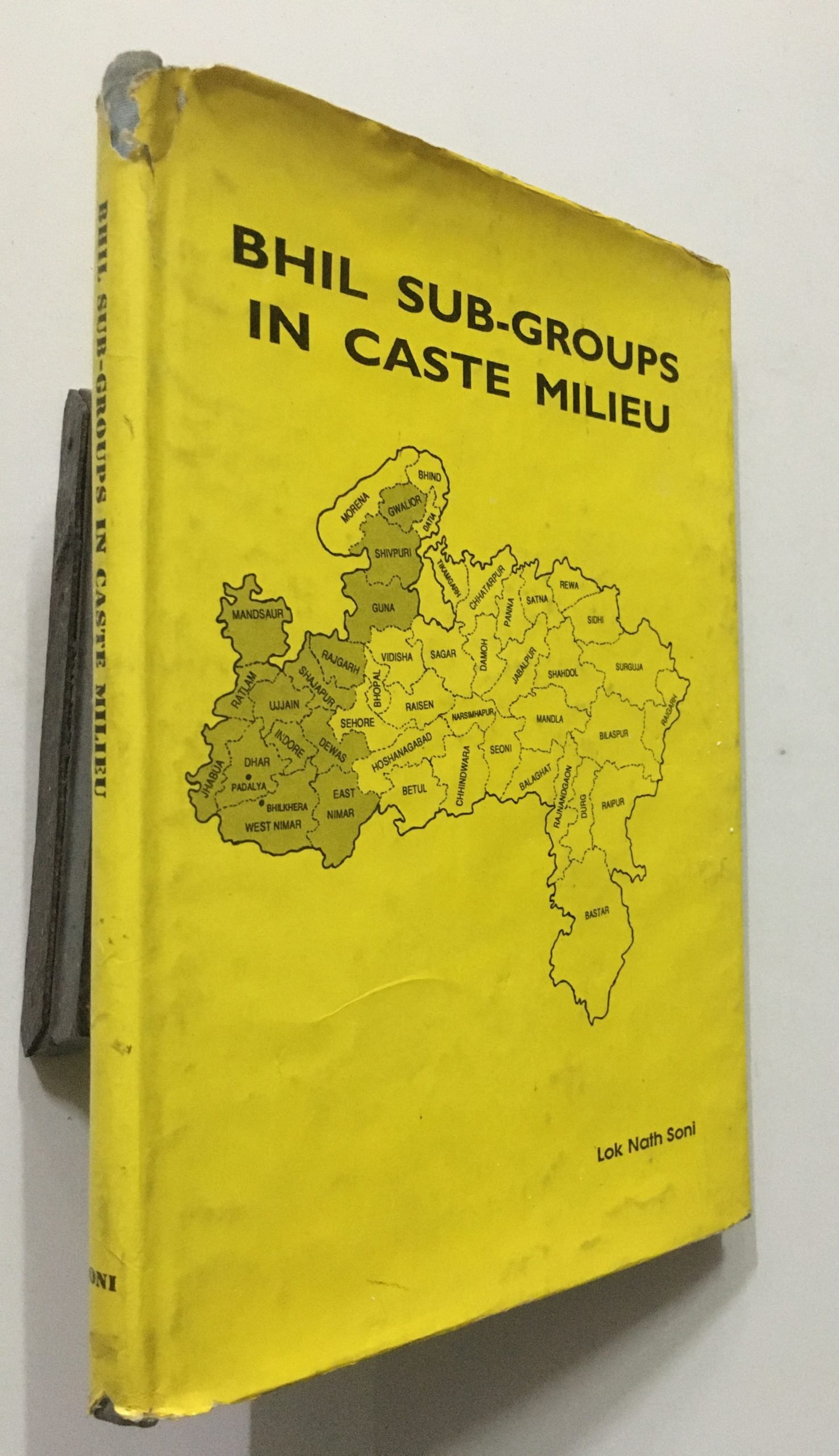 Soni, Lok Nath: Bhil Sub-Groups In Caste Milieu. 1993