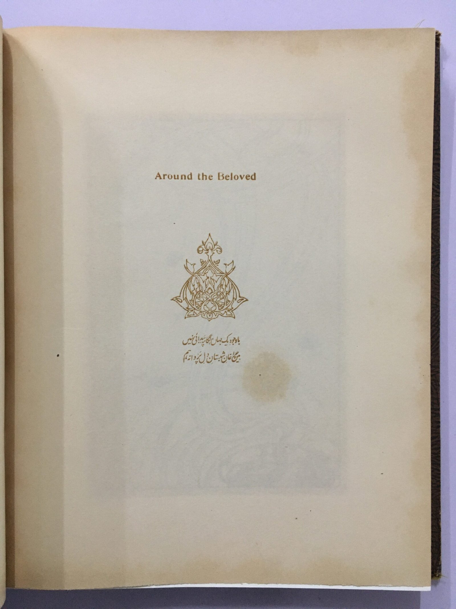 Muraqqa - I- Chughtai. Paintings of M.A. Rahman Chughtai. 1928 Edition. - Image 12
